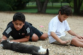 petting-416182__180